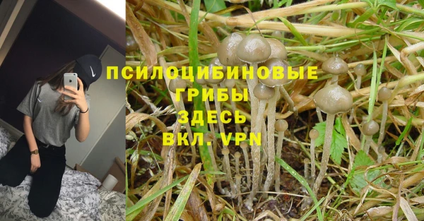 не бодяженный Белокуриха