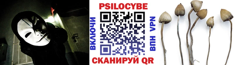 Псилоцибиновые грибы Magic Shrooms  Купить закладки  Железноводск 